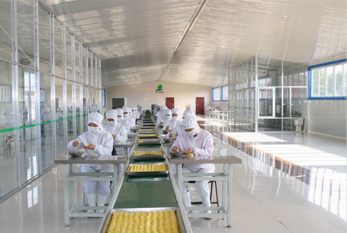 www.xiangyungj.com